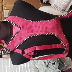PETCO dog Harness